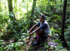 Steps towards sustainable finance for community forest management in the Heart of  Borneo