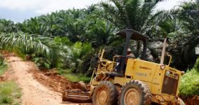 Challenges and opportunities in Indonesia’s legal framework for achieving zero deforestation in the palm oil sector