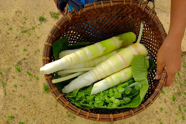 The importance of biodiversity in securing food for the future